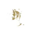 Paardendekenwasserij De Kempen